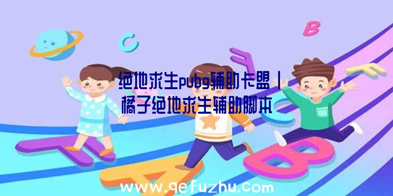 「绝地求生pubg辅助卡盟」|橘子绝地求生辅助脚本